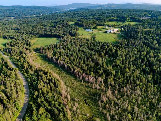 $118,000 | 0 Watson Road, Hardwick, VT 05843