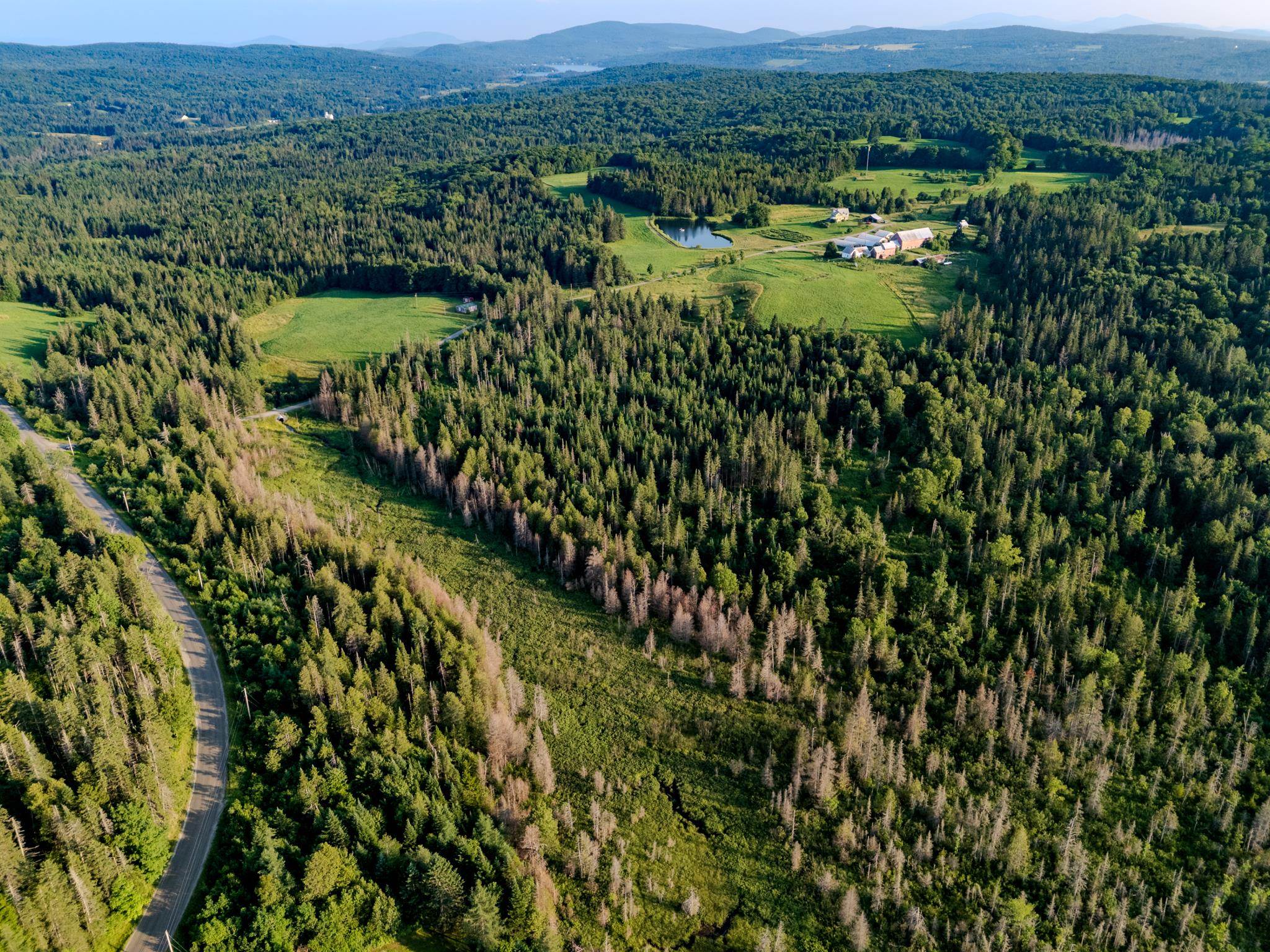 0 Watson Road Hardwick, VT 05843 - Photo 43 of 48