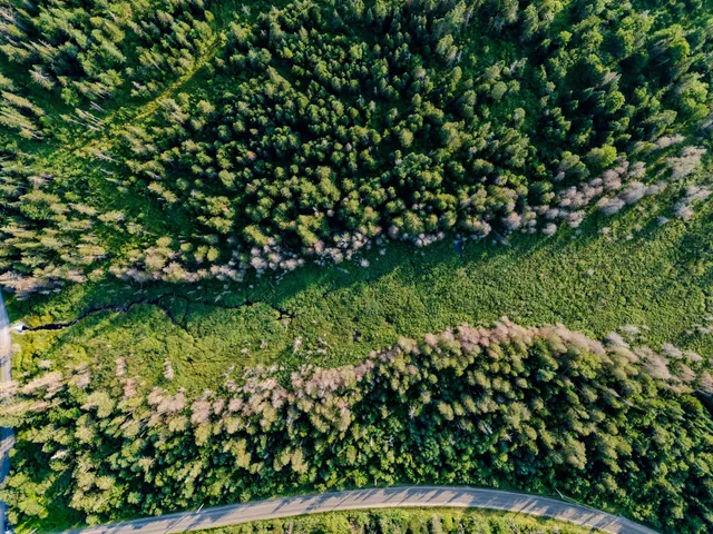 $118,000 | 0 Watson Road, Hardwick, VT 05843