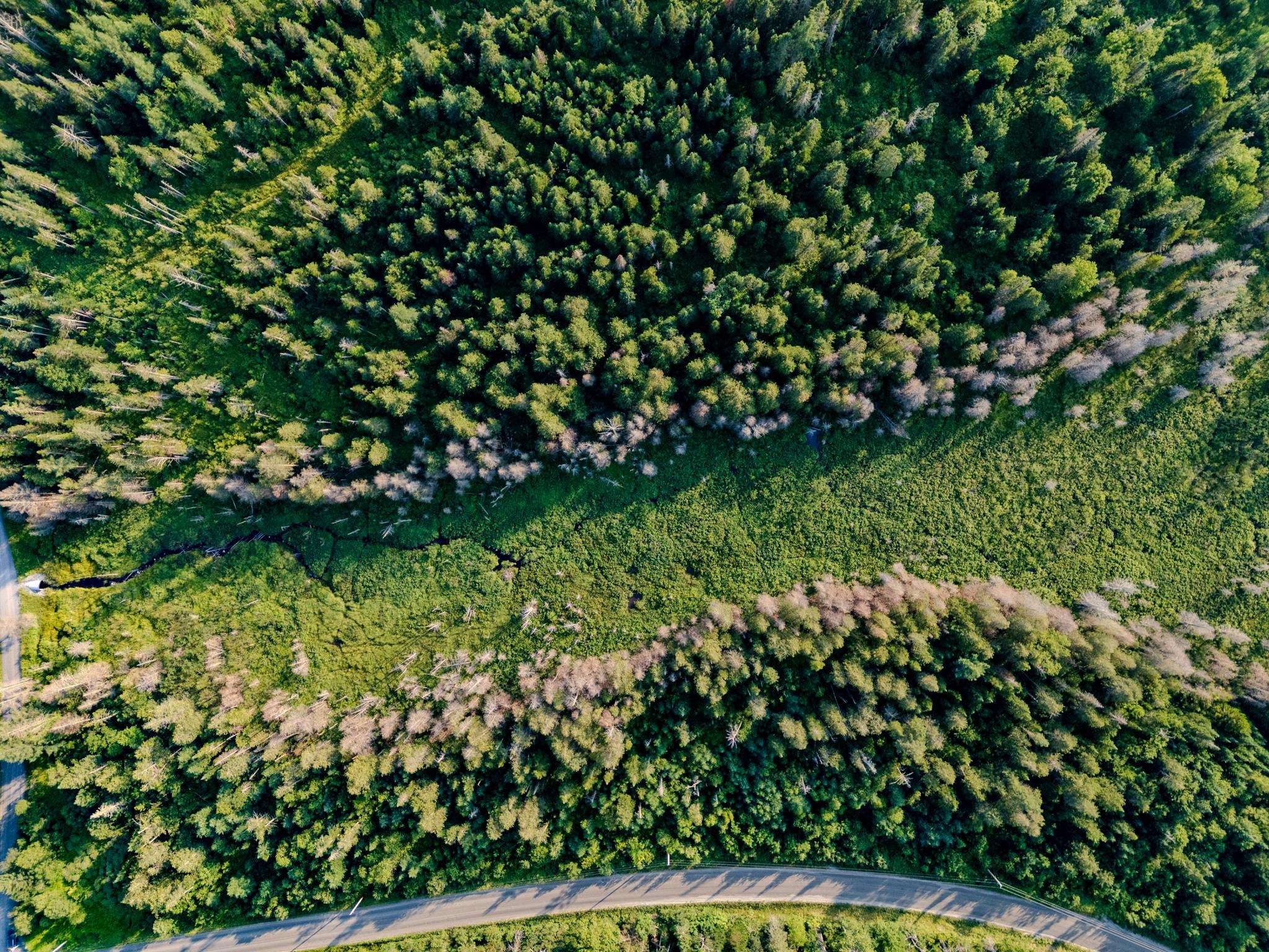 0 Watson Road Hardwick, VT 05843 - Photo 44 of 48