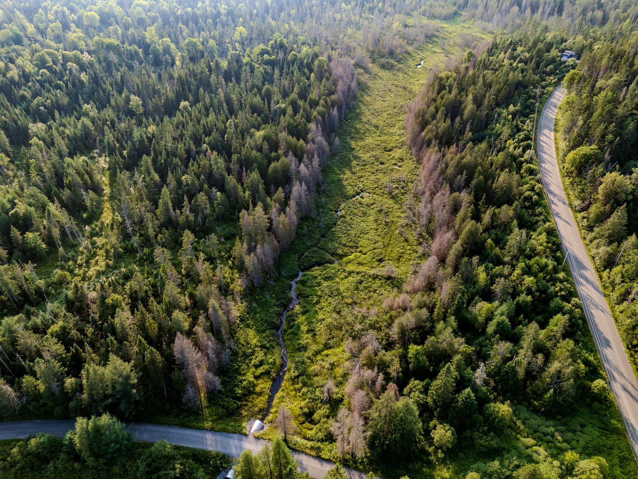 0 Watson Road Hardwick, VT 05843 - Photo 45 of 48