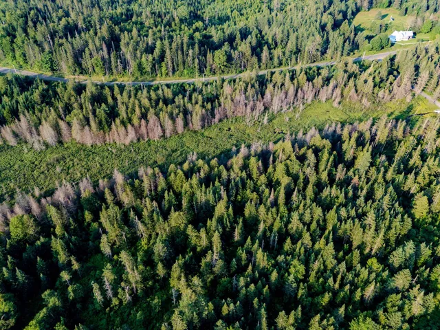 $118,000 | 0 Watson Road, Hardwick, VT 05843