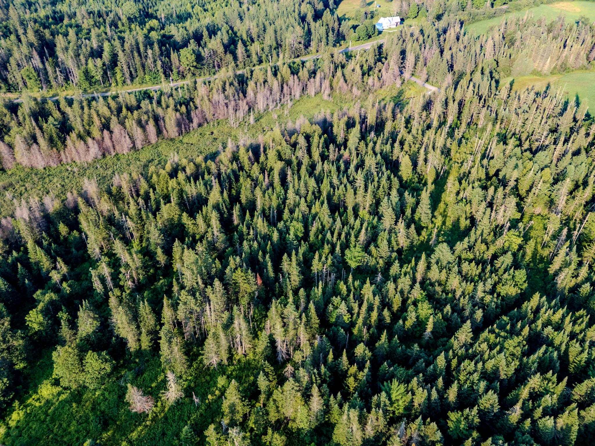 0 Watson Road Hardwick, VT 05843 - Photo 47 of 48