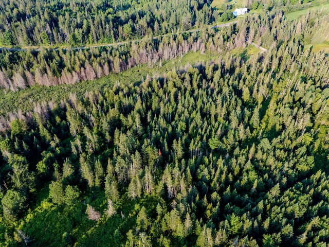 $118,000 | 0 Watson Road, Hardwick, VT 05843