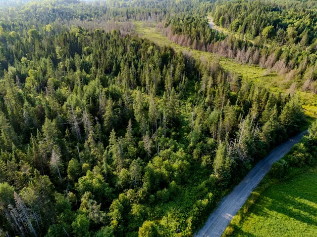 $118,000 | 0 Watson Road, Hardwick, VT 05843