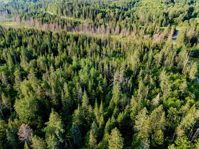 $118,000 | 0 Watson Road, Hardwick, VT 05843