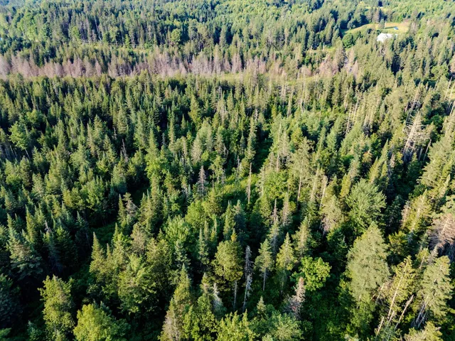 $118,000 | 0 Watson Road, Hardwick, VT 05843