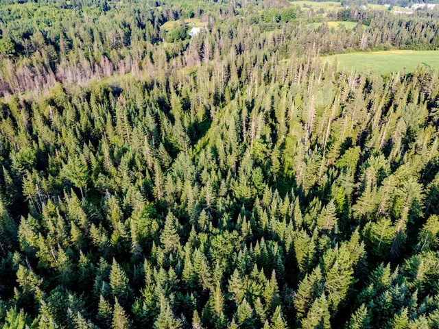 $118,000 | 0 Watson Road, Hardwick, VT 05843