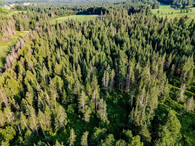 $118,000 | 0 Watson Road, Hardwick, VT 05843