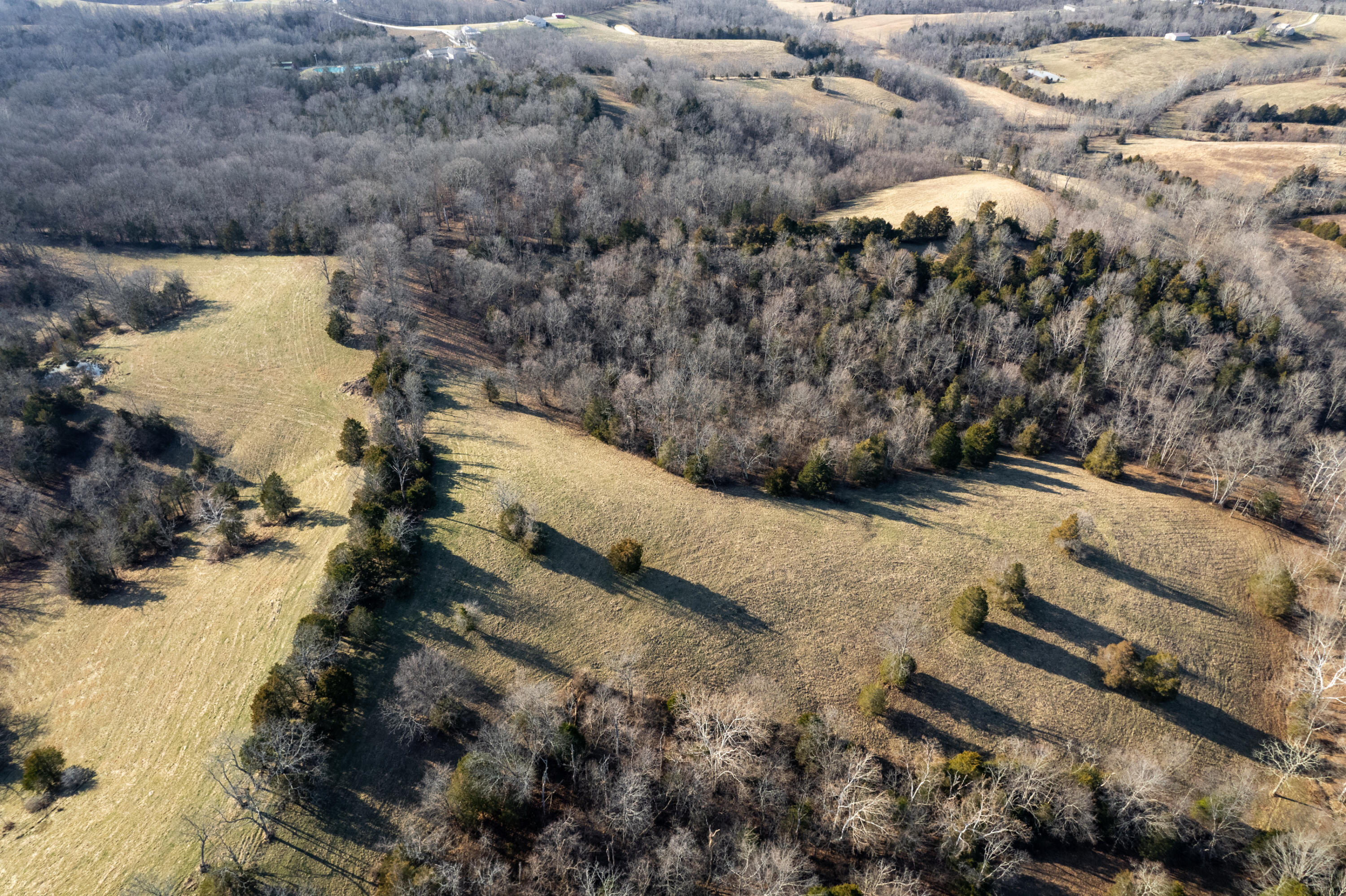 1240 Leaning Oak Road Corinth, KY 41010 - Photo 13 of 43 Gallery Image 13