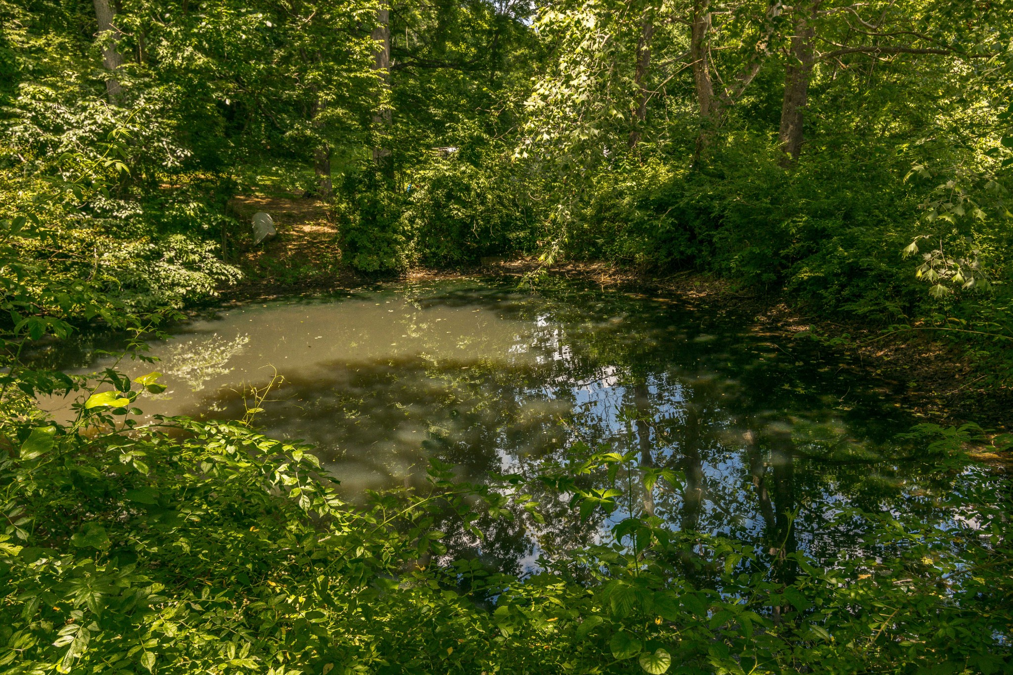 791 Rogues Fork Road Bethpage, TN 37022 - Photo 48 of 50 Gallery Image 48