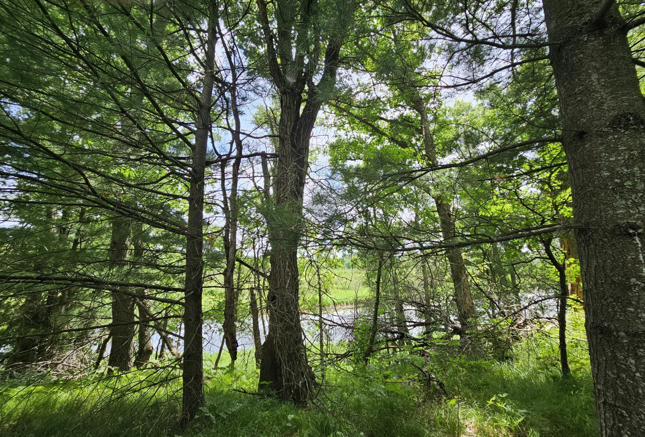 Lot 2 Gaslyn Road Webster, WI 54893 - Photo 1 of 10