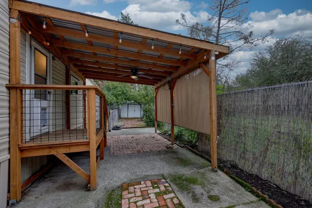 a view of a backyard with plants potted plants and large tree