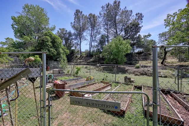 a view of outdoor space yard and patio