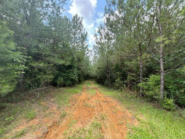 0 East Lewiston Road Kentwood, LA 70444 - Photo 23 of 26 Photo 24