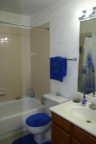 2242 Colorado Avenue, Unit 4 Elgin, IL 60123 - Photo 7 of 9
