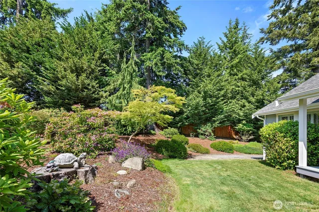 a view of a garden with plants