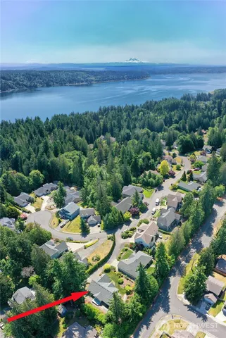 a view of a park with plants and a trees