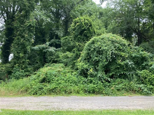 $30,000 | 1833 Moore Street Northwest, Atlanta, GA 30318