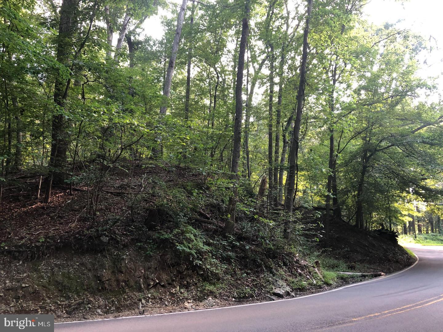 Beach Mill Road Great Falls, VA 22066 - Photo 1 of 1