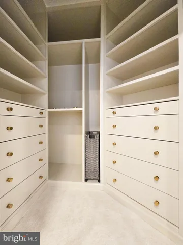 a view of an empty walk in closet