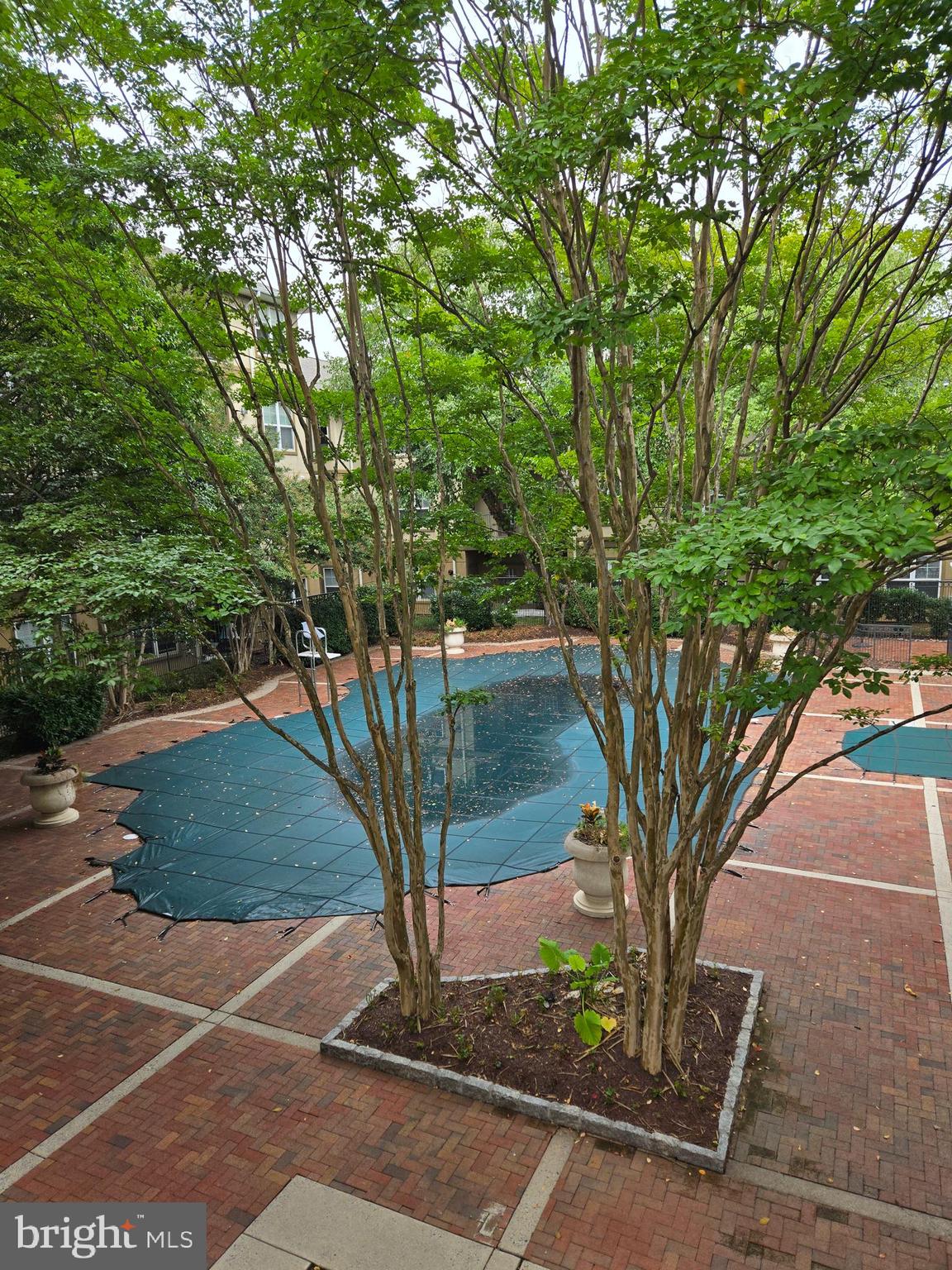 11800 Old Georgetown Road, Unit 1537 North Bethesda, MD 20852 - Photo 18 of 20 a view of a yard in front of a house with large tree