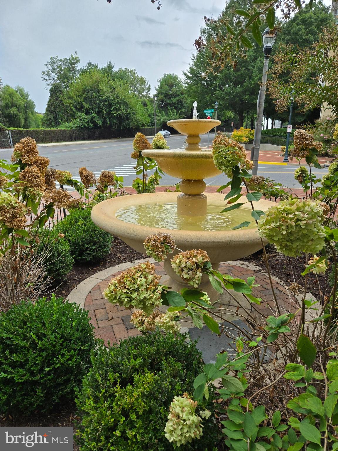 11800 Old Georgetown Road, Unit 1537 North Bethesda, MD 20852 - Photo 19 of 20 a view of a swimming pool with a yard