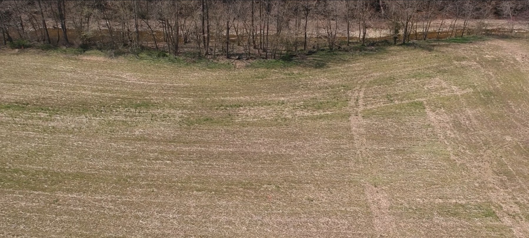 1555 Dutch Creek Road Westmoreland, TN 37186 - Photo 2 of 5