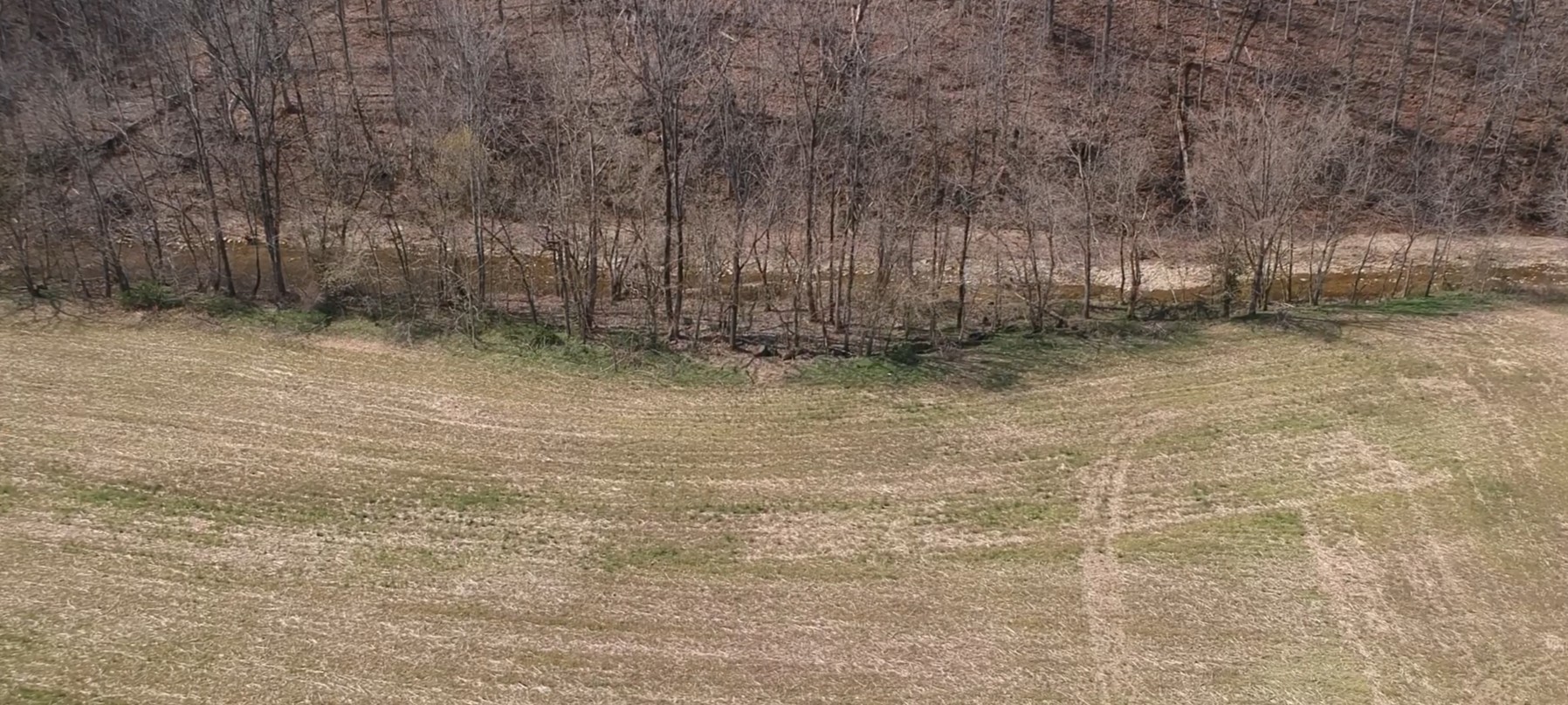 1555 Dutch Creek Road Westmoreland, TN 37186 - Photo 3 of 5