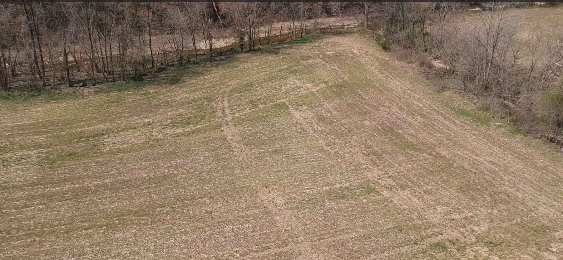 1555 Dutch Creek Road Westmoreland, TN 37186 - Photo 4 of 5