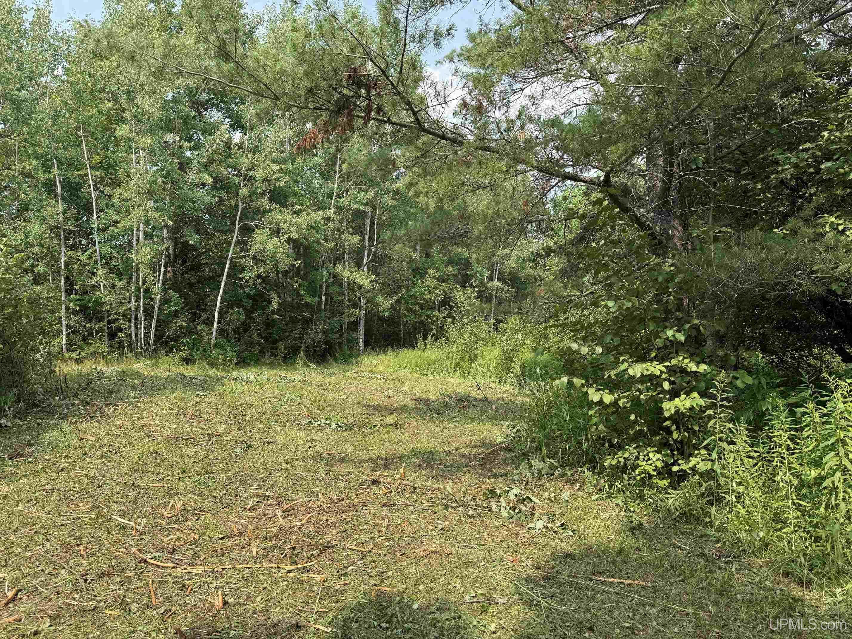Tbd95 East Branch Road Mass City, MI 49948 - Photo 8 of 27 Gallery Image 8