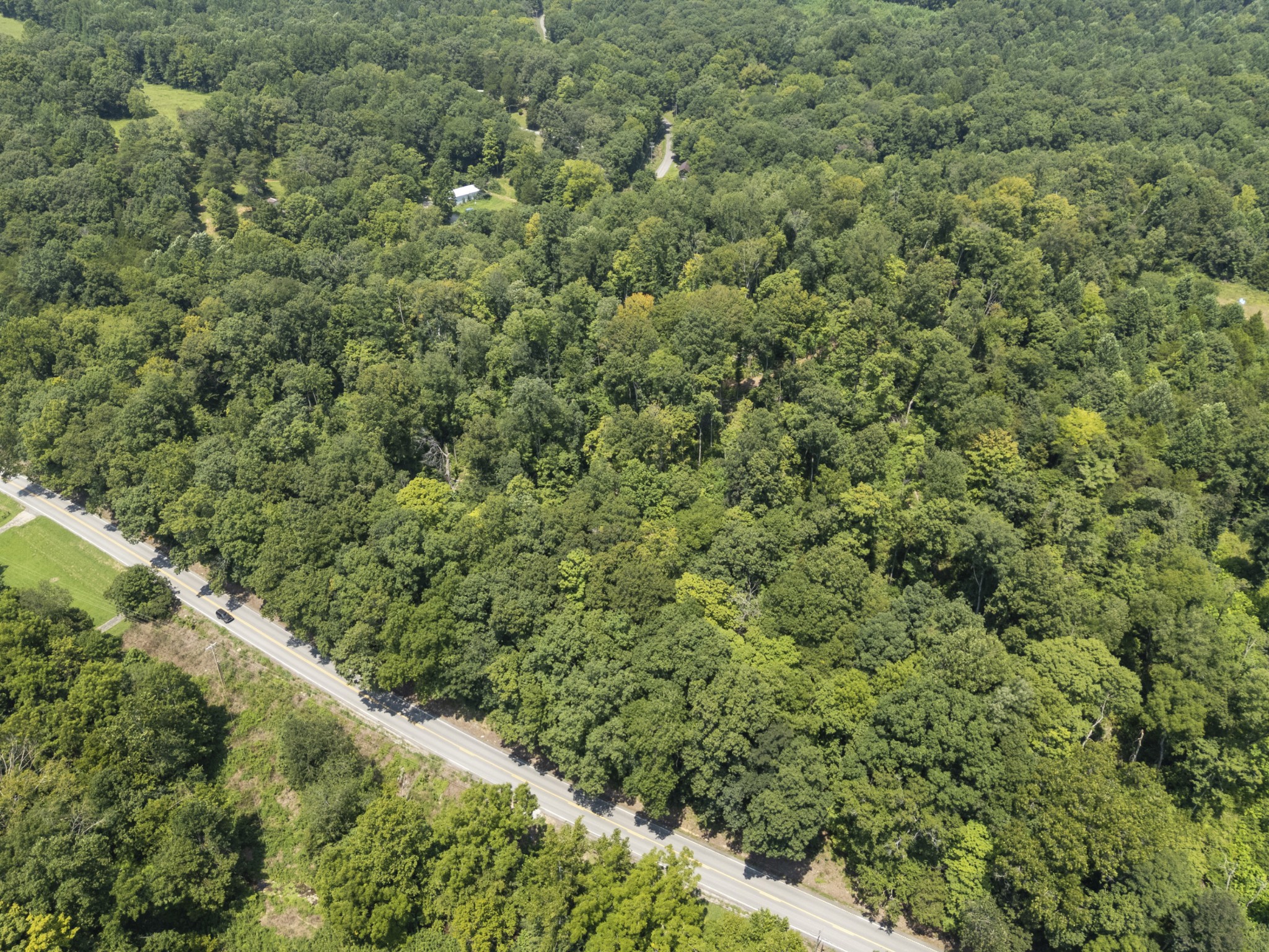 0 Slayden Wood Road Vanleer, TN 37181 - Photo 17 of 25 Gallery Image 17