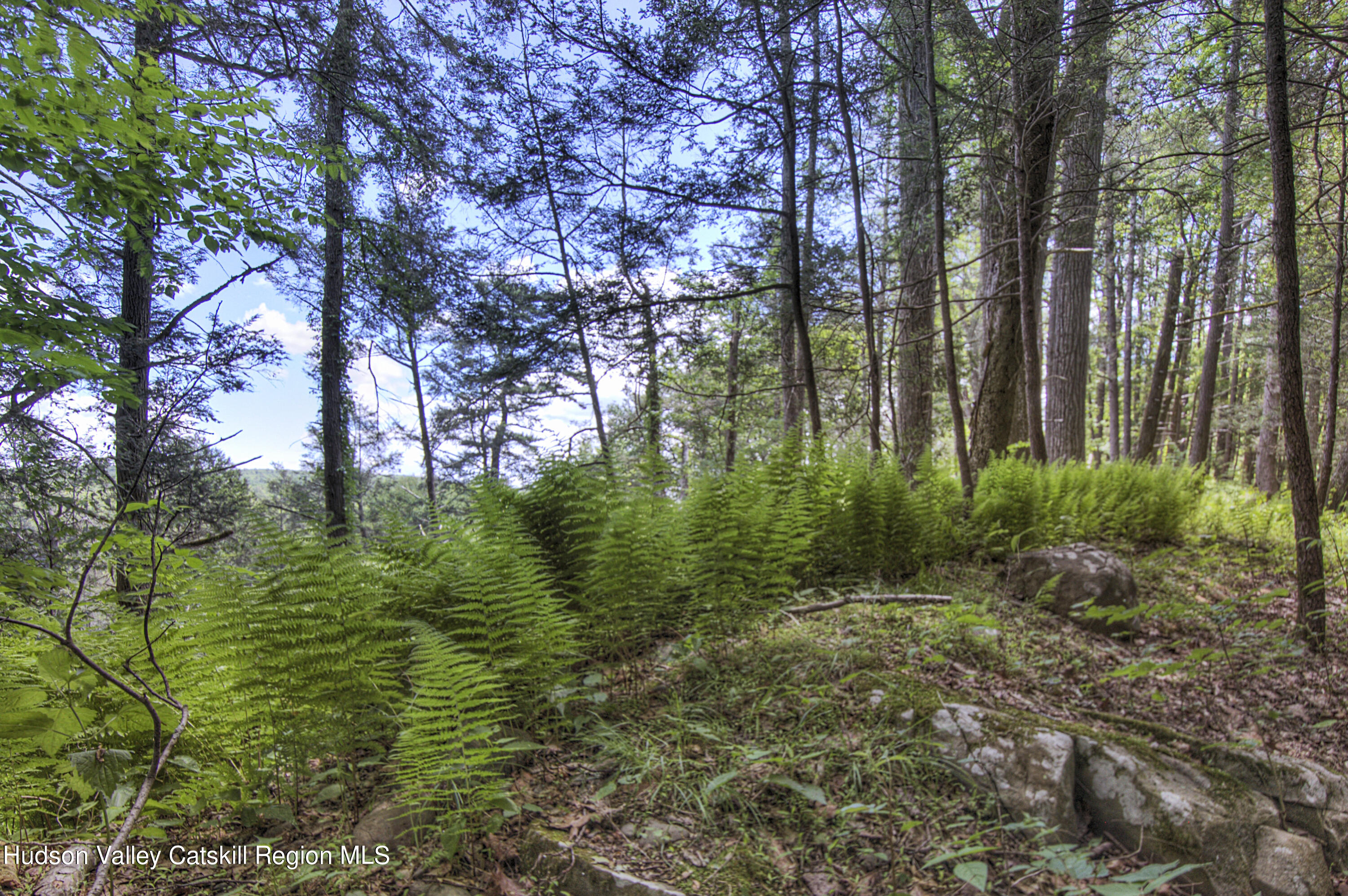 4272 Atwood Road Stone Ridge, NY 12484 - Photo 30 of 31 40
