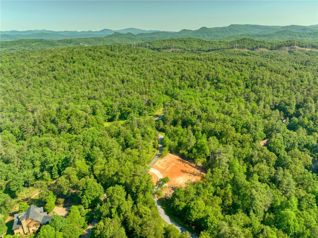 200 Pixie Moss Way Sunset, SC 29685 - Photo 1 of 17 Gallery Image 1