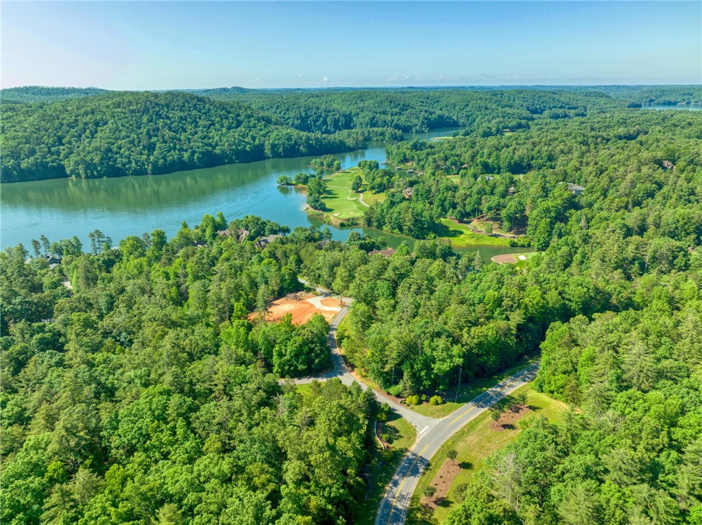 200 Pixie Moss Way Sunset, SC 29685 - Photo 11 of 17 Gallery Image 11