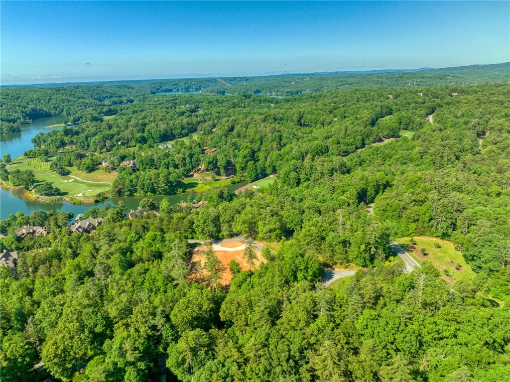 200 Pixie Moss Way Sunset, SC 29685 - Photo 12 of 17 Gallery Image 12