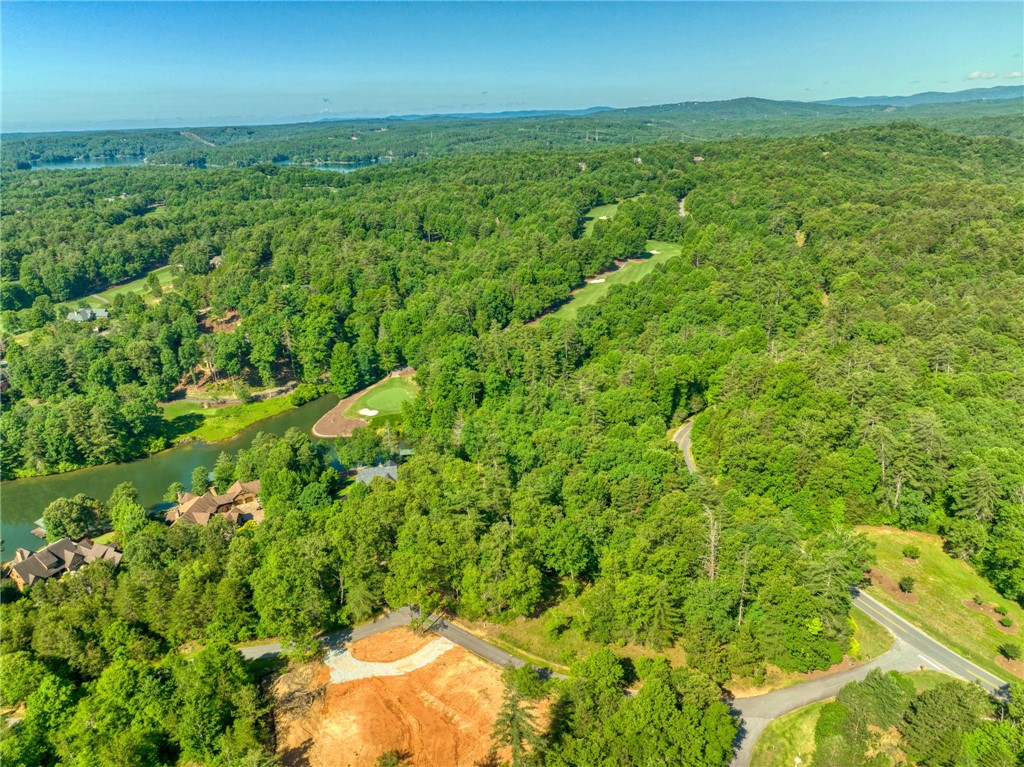 200 Pixie Moss Way Sunset, SC 29685 - Photo 13 of 17 Gallery Image 13