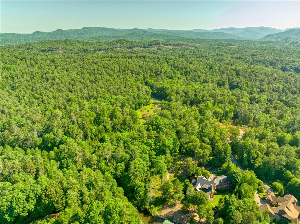 200 Pixie Moss Way Sunset, SC 29685 - Photo 2 of 17 Gallery Image 2
