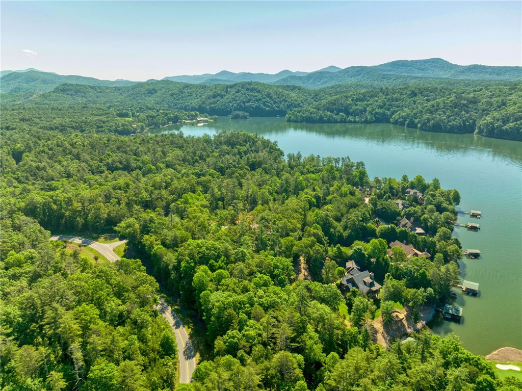 200 Pixie Moss Way Sunset, SC 29685 - Photo 3 of 17 Gallery Image 3