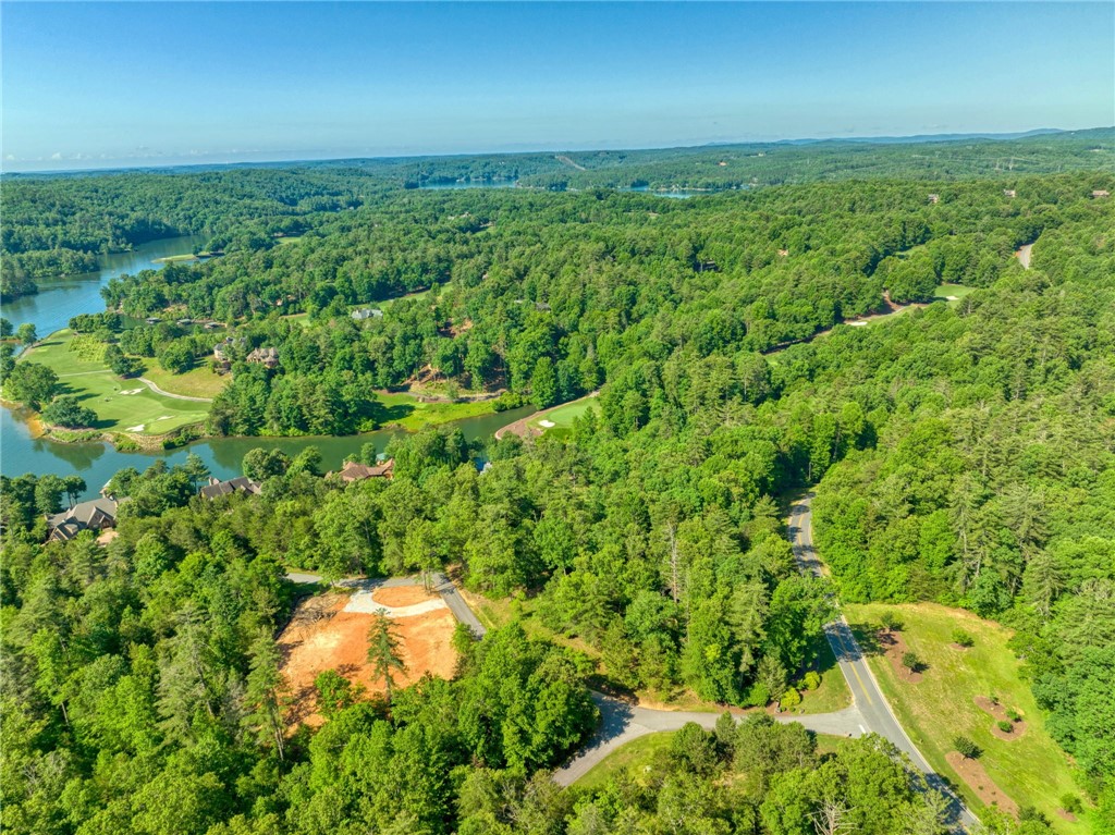 200 Pixie Moss Way Sunset, SC 29685 - Photo 5 of 17 Gallery Image 5