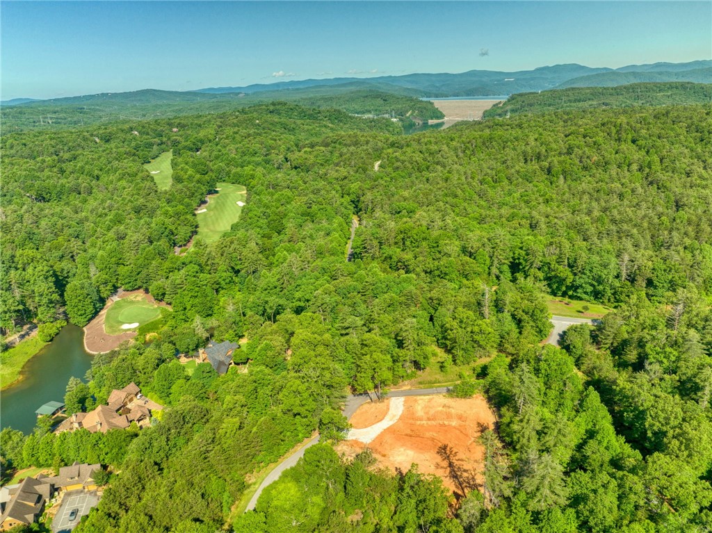200 Pixie Moss Way Sunset, SC 29685 - Photo 6 of 17 Gallery Image 6