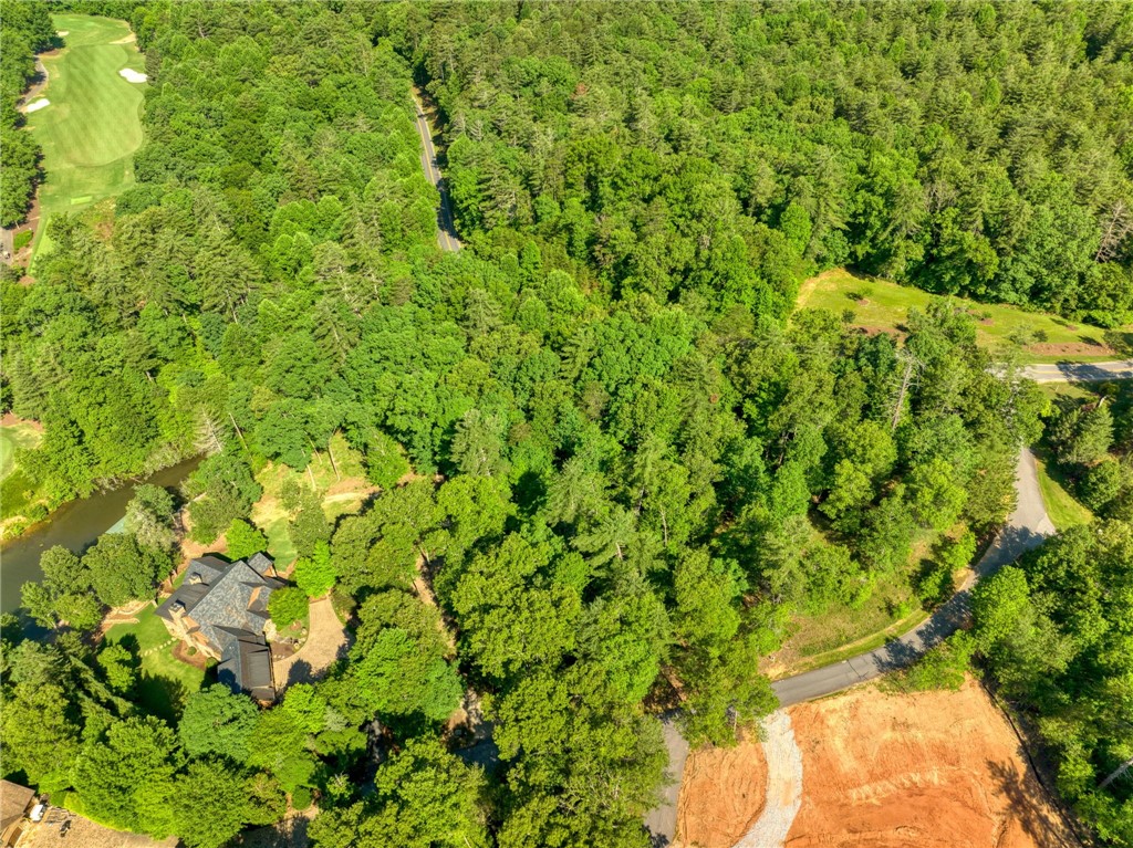 200 Pixie Moss Way Sunset, SC 29685 - Photo 7 of 17 Gallery Image 7