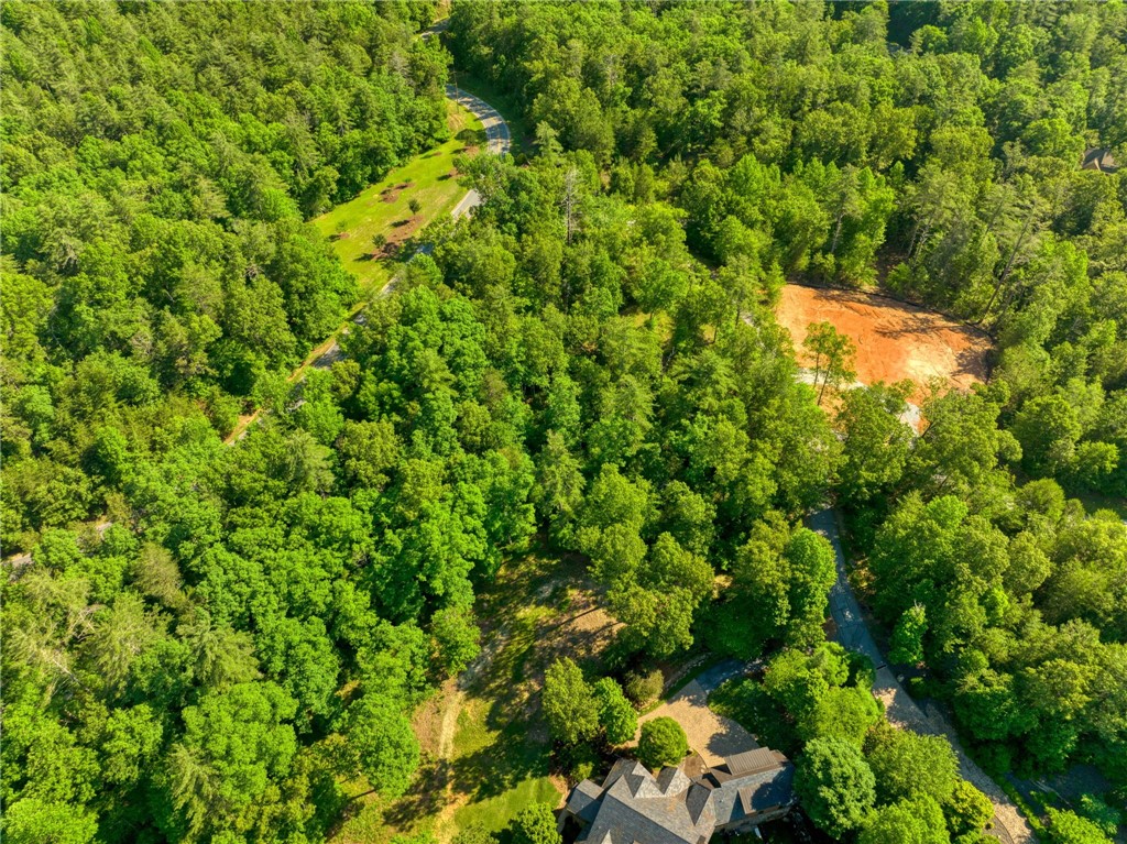 200 Pixie Moss Way Sunset, SC 29685 - Photo 8 of 17 Gallery Image 8