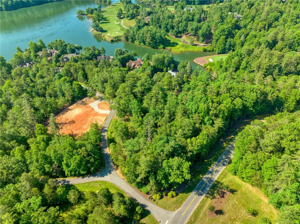 200 Pixie Moss Way Sunset, SC 29685 - Photo 10 of 17 Gallery Image 10