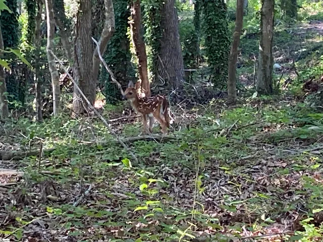 $349,000 | 1 East Mcgee Street, Honea Path, SC 29654