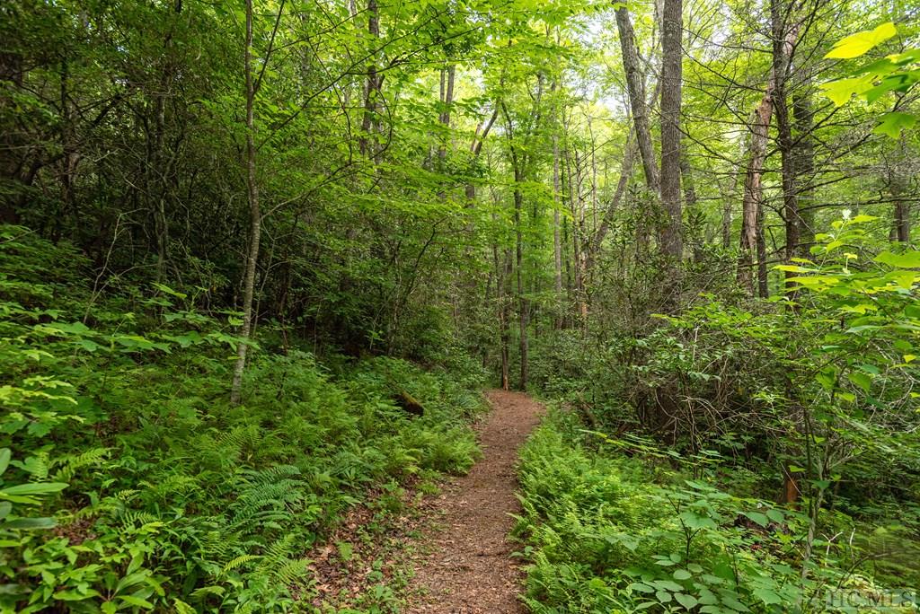 616 Found Forest Road Cashiers, NC 28717 - Photo 8 of 13 Gallery Image 8
