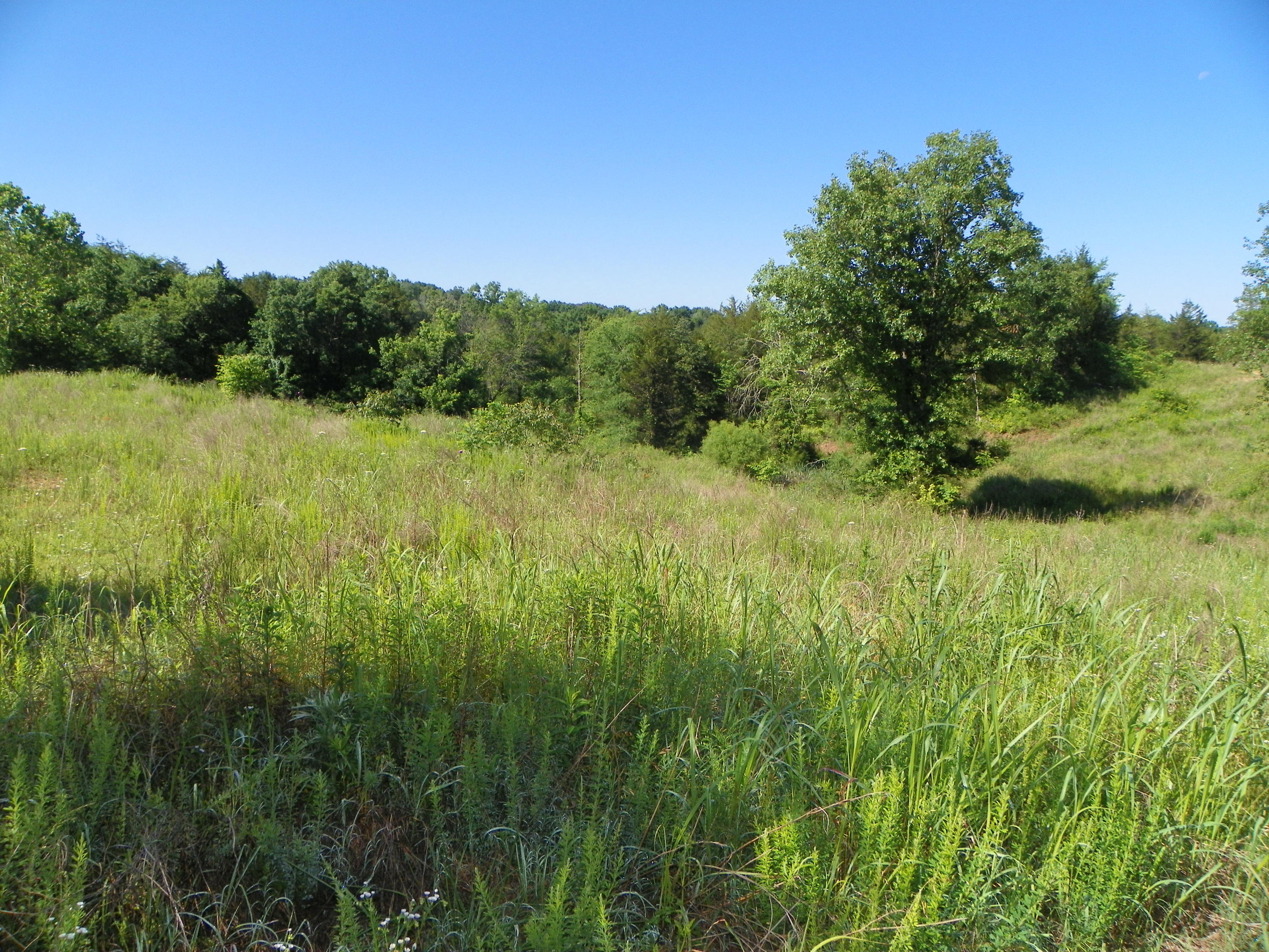 Fortenberry Road Strawberry Plains, TN 37871 - Photo 2 of 20 100_0438