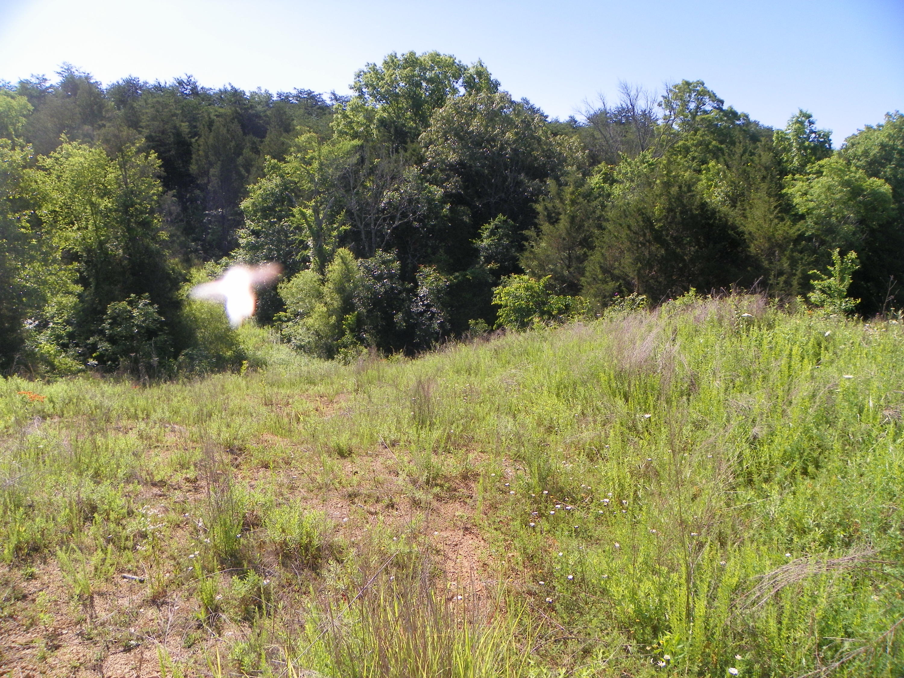 Fortenberry Road Strawberry Plains, TN 37871 - Photo 12 of 20 Drive Along Property on Right