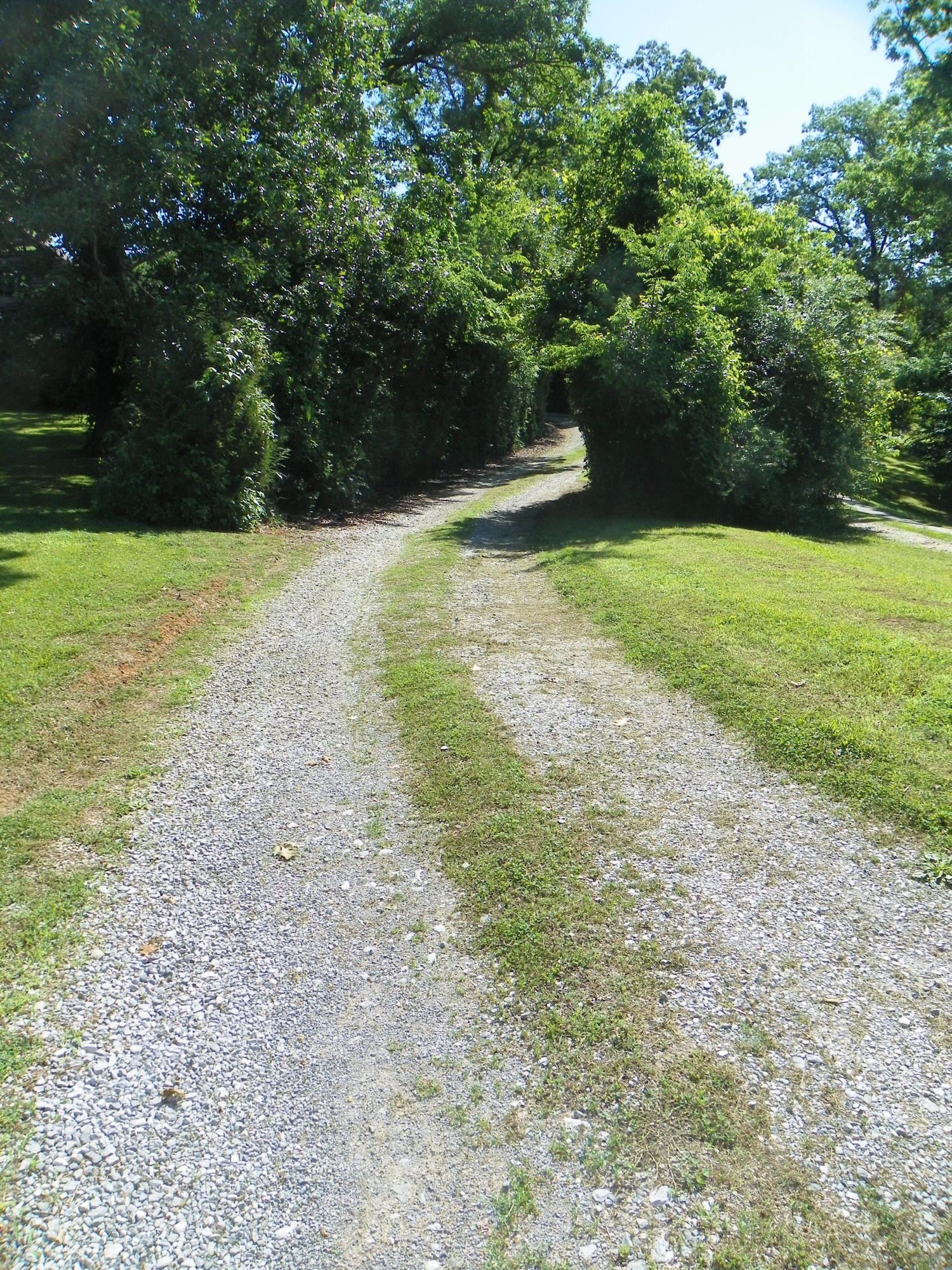 Fortenberry Road Strawberry Plains, TN 37871 - Photo 14 of 20 Drive Off Fortenberry