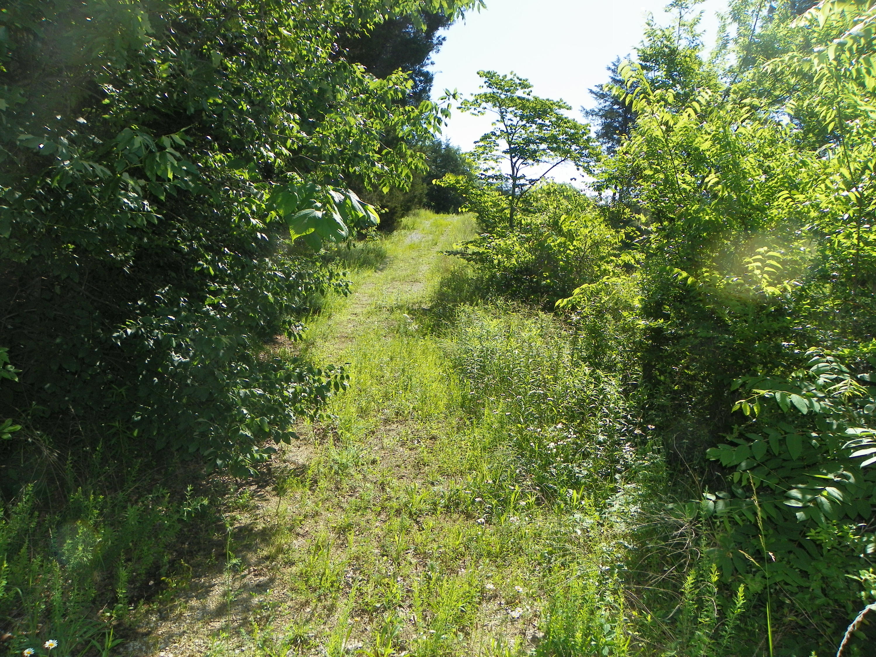 Fortenberry Road Strawberry Plains, TN 37871 - Photo 15 of 20 Drive To Back - East End